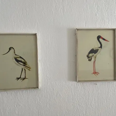 Sakin Plaj Ayvalı